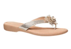 Hush Puppies Veta Womens Leather Thongs/Sandals(Hush Puppies Veta Womens Leather Thongs Sandals) -Skechers Sale Store 1 2 8a7bc247 8778 4c67 8bd3 cc250d32a40f