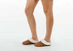 Scholl Orthaheel Snooze II Womens Comfort Supportive Indoor Slippers(Scholl Orthaheel Snooze Ii Womens Comfort Supportive Indoor Slippers) -Skechers Sale Store 12ag