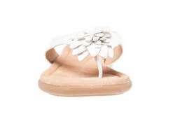 Hush Puppies Veta Womens Leather Thongs/Sandals(Hush Puppies Veta Womens Leather Thongs Sandals) -Skechers Sale Store 14 442d7994 5adf 49aa 88a2 cbf99b1c8579