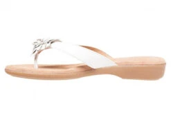 Hush Puppies Veta Womens Leather Thongs/Sandals(Hush Puppies Veta Womens Leather Thongs Sandals) -Skechers Sale Store 18 66aedcf9 85c1 4bdf adba 7cb0546f58d3