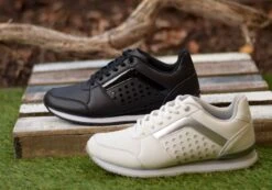 Scholl Orthaheel Venus Womens Comfort Supportive Lace Up Casual Shoes(Scholl Orthaheel Venus Womens Comfort Supportive Lace Up Casual Shoes) -Skechers Sale Store 1A bbf201c8 7f2a 4892 a47c 6ecdbc353b76