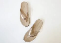 Homyped Inlet Womens Comfortable Supportive Thongs Sandals(Homyped Inlet Womens Comfortable Supportive Thongs Sandals) -Skechers Sale Store 1 34970d2d 37e8 45ba 8c6c 4e52133f270d