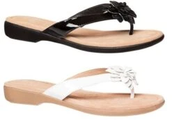 Hush Puppies Veta Womens Leather Thongs/Sandals(Hush Puppies Veta Womens Leather Thongs Sandals) -Skechers Sale Store 1 3a29eefb 98de 4aad 80ef 98283e0c263f