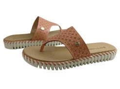 Bottero Bahamas Womens Comfort Leather Thongs Made In Brazil(Bottero Bahamas Womens Comfort Leather Thongs Sandals Made In Brazil) -Skechers Sale Store IMG 0006