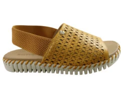 Bottero Trio Womens Comfortable Leather Sandals Made In Brazil(Bottero Trio Womens Comfortable Leather Sandals Made In Brazil)