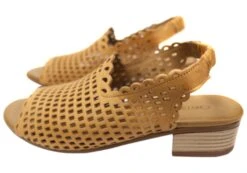 Orizonte Sash Womens European Leather Low Heel Comfortable Sandals(Orizonte Sash Womens European Leather Low Heel Comfortable Sandals) -Skechers Sale Store IMG 0142 bd213b8e 54b7 42c7 be82 961d5316ee55