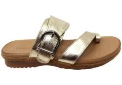 Orizonte Martha Womens European Leather Thongs Sandals(Orizonte Martha Womens Comfortable European Leather Thongs Sandals) -Skechers Sale Store IMG 0690 cc6afc89 20e2 4d64 8393 af7d2a0f18cc