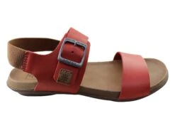 New Face Tasha Womens Comfortable Leather Sandals Made In Brazil(New Face Tasha Womens Comfortable Leather Sandals Made In Brazil) -Skechers Sale Store IMG 0889 d41fd7ee da46 46ec a116 379c874db240