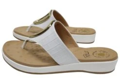 Malu Supercomfort Lucila Womens Comfort Thongs Sandals Made In Brazil(Malu Supercomfort Lucila Womens Comfort Thongs Sandals Made In Brazil) -Skechers Sale Store IMG 0962 90f64fc8 deee 41a1 b115 86b30ad05283