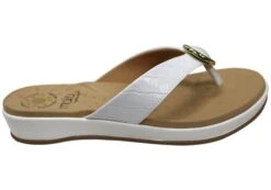 Malu Supercomfort Larra Womens Comfort Thongs Sandals Made In Brazil(Malu Supercomfort Larra Womens Comfort Thongs Sandals Made In Brazil) 22 Malu Supercomfort Larra Womens Comfort Thongs Sandals Made In Brazil(Malu Supercomfort Larra Womens Comfort Thongs Sandals Made In Brazil) -Skechers Sale Store IMG 1119 5c454be3 84ea 44b9 b11c 8dc783fbd01b