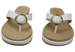 Malu Supercomfort Larra Womens Comfort Thongs Sandals Made In Brazil(Malu Supercomfort Larra Womens Comfort Thongs Sandals Made In Brazil) 36 Malu Supercomfort Larra Womens Comfort Thongs Sandals Made In Brazil(Malu Supercomfort Larra Womens Comfort Thongs Sandals Made In Brazil) -Skechers Sale Store IMG 1126 1888b2e1 494c 48ad b9a8 62291d07bacb