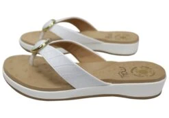 Malu Supercomfort Larra Womens Comfort Thongs Sandals Made In Brazil(Malu Supercomfort Larra Womens Comfort Thongs Sandals Made In Brazil) 37 Malu Supercomfort Larra Womens Comfort Thongs Sandals Made In Brazil(Malu Supercomfort Larra Womens Comfort Thongs Sandals Made In Brazil) -Skechers Sale Store IMG 1127 8a82699f 43a6 453d b163 d9b4ab6ba2b2