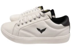 Eagle Fly Jackson Mens Comfortable Lace Up Casual Shoes Made In Brazil(Eagle Fly Jackson Mens Comfortable Lace Up Casual Shoes Made In Brazil) -Skechers Sale Store IMG 1563 e5b5f4a8 7ed1 4a12 a53c fe68a8d99474