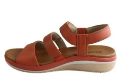 Usaflex Kosy Womens Comfortable Leather Sandals Made In Brazil(Usaflex Kosy Womens Comfortable Leather Sandals Made In Brazil) -Skechers Sale Store IMG 1770 fdc161ce 761f 4202 8430 7e802a3ec6a9