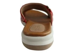 Usaflex Stella Womens Brazilian Comfy Cushioned Leather Slides Sandals(Usaflex Stella Womens Brazilian Comfy Cushioned Leather Slides Sandals) -Skechers Sale Store IMG 1782 74d9d686 29e6 4574 bcaf e90c96f3d37a