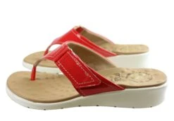 Malu Supercomfort Bronwyn Womens Comfort Thongs Sandals Made In Brazil(Malu Supercomfort Bronwyn Womens Comfort Thongs Sandals Made In Brazil) 28 Malu Supercomfort Bronwyn Womens Comfort Thongs Sandals Made In Brazil(Malu Supercomfort Bronwyn Womens Comfort Thongs Sandals Made In Brazil) -Skechers Sale Store IMG 2044 f32b992d b1be 42a2 a7a6 0bece9c3eabb