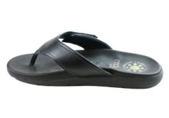 Malu Supercomfort Dinah Womens Comfort Thongs Sandals Made In Brazil(Malu Supercomfort Dinah Womens Comfort Thongs Sandals Made In Brazil) -Skechers Sale Store IMG 2104 f098e507 abf7 4fa9 b254 0929b65109e0