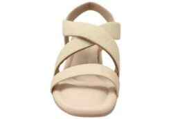 Campesi Bosna Womens Brazilian Mid Heel Sandals With Comfort Footbed(Campesi Bosna Womens Brazilian Mid Heel Sandals With Comfort Footbed) 17 Campesi Bosna Womens Brazilian Mid Heel Sandals With Comfort Footbed(Campesi Bosna Womens Brazilian Mid Heel Sandals With Comfort Footbed) -Skechers Sale Store IMG 2263 e43ad6fc f052 46bc a132 775cda1b1a31