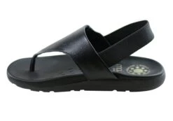 Malu Supercomfort Brinley Womens Comfort Sandals Thongs Made In Brazil(Malu Supercomfort Brinley Womens Comfort Sandals Thongs Made In Brazil) -Skechers Sale Store IMG 2287 dc95361d ab45 422f b330 3017be370f55