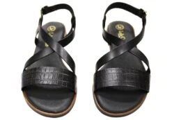 Lola Canales Mistee Womens Comfortable Leather Sandals Made In Spain(Lola Canales Mistee Womens Comfortable Leather Sandals Made In Spain) -Skechers Sale Store IMG 2343 90c9ae1d 73d1 43b3 8f43 66cac19cbdf6