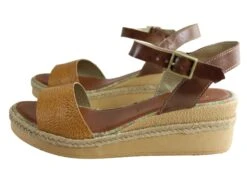Andacco Zara Womens Brazilian Comfortable Leather Wedge Sandals(Andacco Zara Womens Brazilian Comfortable Leather Wedge Sandals) 12 Andacco Zara Womens Brazilian Comfortable Leather Wedge Sandals(Andacco Zara Womens Brazilian Comfortable Leather Wedge Sandals) -Skechers Sale Store IMG 2498 dcf27470 8650 43dd a8b6 9ab1ed7ca696