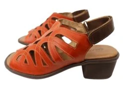 Balatore Cello Womens Comfortable Brazilian Leather Low Heel Sandals(Balatore Cello Womens Comfortable Brazilian Leather Low Heel Sandals) -Skechers Sale Store IMG 2562 f181094d a471 47e8 ab1c 596bccad3d61