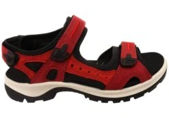 ECCO Womens Offroad Comfortable Leather Adjustable Sandals(Ecco Womens Offroad Comfortable Leather Adjustable Sandals)