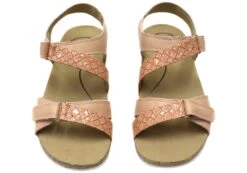 Scholl Orthaheel Aria Womens Comfortable Supportive Sandals(Scholl Orthaheel Aria Womens Comfortable Supportive Sandals) -Skechers Sale Store IMG 3212 25bb5925 463a 4494 9fdc 532a7c802872