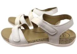 Scholl Orthaheel Aria Womens Comfortable Supportive Sandals(Scholl Orthaheel Aria Womens Comfortable Supportive Sandals) -Skechers Sale Store IMG 3233 869b4c6f 8162 4e6f b5c4 9fbd130dd8ee