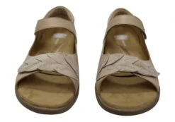 Scholl Orthaheel Fonda Womens Comfortable Supportive Leather Sandals(Scholl Orthaheel Fonda Womens Comfortable Supportive Leather Sandals) -Skechers Sale Store IMG 3252 e93fd7fe b2c3 48be a6a8 4b8146bdc58b