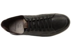 Democrata Tyler Mens Comfortable Leather Casual Shoes Made In Brazil(Democrata Tyler Mens Comfortable Leather Casual Shoes Made In Brazil) -Skechers Sale Store IMG 3443 d5c39f4c 80e2 4d91 b052 300733b78344