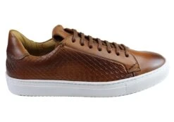 Savelli Turbine Mens Leather Lace Up Casual Shoes Made In Brazil(Savelli Turbine Mens Leather Lace Up Casual Shoes Made In Brazil)