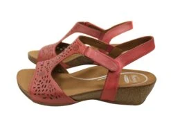 Scholl Orthaheel Julie Womens Comfort Supportive Wedge Leather Sandals(Scholl Orthaheel Julie Womens Supportive Wedge Leather Sandals) -Skechers Sale Store IMG 3851 48f863a2 3b6d 45f1 8b54 88a4d969ab6d