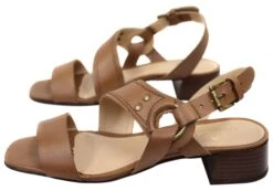 Via Paula Tina Womens Comfortable Brazilian Leather Sandals(Via Paula Tina Womens Comfortable Brazilian Leather Sandals) -Skechers Sale Store IMG 4022 530ccb44 c1ef 4669 9619 4d701e89d78a