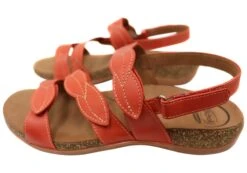 Scholl Orthaheel Able Womens Leather Comfortable Supportive Sandals(Scholl Orthaheel Able Womens Leather Comfortable Supportive Sandals) -Skechers Sale Store IMG 4378 01885146 e839 4ba6 829b 978447988d18