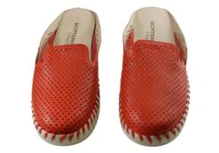 Bottero Holland Womens Comfort Leather Closed Toe Open Back Mules(Bottero Holland Womens Comfort Leather Closed Toe Open Back Mules) -Skechers Sale Store IMG 4741 2e39f438 8393 458b 9cde 9a326512a3e8