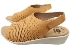 Scholl Orthaheel Tulsa Womens Comfortable Leather Wedge Sandals(Scholl Orthaheel Tulsa Womens Comfortable Supportive Leather Sandals) -Skechers Sale Store IMG 4776 1ac420d9 3e12 46b2 af44 b6ed06855d49