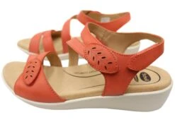 Scholl Orthaheel Tana Womens Comfortable Leather Wedge Sandals(Scholl Orthaheel Tana Womens Comfortable Leather Wedge Sandals) -Skechers Sale Store IMG 4802 7fdbbfd3 f7d1 4321 87a7 0079ac518864