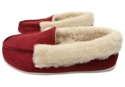 Homyped Holly Moc Womens Supportive Comfortable Slippers(Homyped Holly Moc Womens Supportive Comfortable Slippers) -Skechers Sale Store IMG 4834 644cb870 a830 4869 a698 e64f8e21cf40