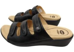 Scholl Orthaheel Tali Womens Comfortable Leather Slides Sandals(Scholl Orthaheel Tali Womens Comfortable Leather Slides Sandals) -Skechers Sale Store IMG 4876 51baa708 2068 40fb 8708 6986744968c1