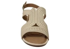 Dakota Eaglemont Womens Comfortable Low Heel Sandals Made In Brazil(Dakota Eaglemont Womens Comfortable Low Heel Sandals Made In Brazil) -Skechers Sale Store IMG 5294 9df1b3c2 2350 46d4 bb10 f65cf35af3da