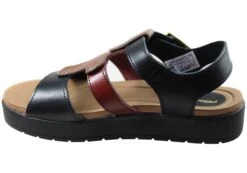 Pegada Atlas Womens Comfortable Leather Sandals Made In Brazil(Pegada Atlas Womens Comfortable Leather Sandals Made In Brazil) -Skechers Sale Store IMG 5983 68ce1dcd 15a8 497d 9305 d48eda3d8824