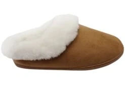 Scholl Orthaheel Snooze II Womens Comfort Supportive Indoor Slippers(Scholl Orthaheel Snooze Ii Womens Comfort Supportive Indoor Slippers)