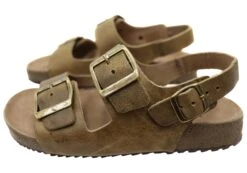 Via Paula Journey Womens Leather Comfortable Sandals Made In Brazil(Via Paula Journey Womens Leather Comfortable Sandals Made In Brazil) -Skechers Sale Store IMG 6712 3fcab493 ce7f 4f46 9183 d33bc90c0208