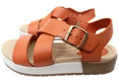 Pegada Robbina Womens Comfortable Leather Sandals Made In Brazil(Pegada Robbina Womens Comfortable Leather Sandals Made In Brazil) -Skechers Sale Store IMG 7038 0df0cabb 18a4 490c 8f10 1f7ce4919aed