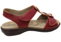 Homyped Womens Analise T Bar Comfortable Leather Sandals(Homyped Womens Analise T Bar Comfortable Leather Sandals) -Skechers Sale Store IMG 7546 8e1a3f62 39ac 419b 89b8 f80b7b581b09