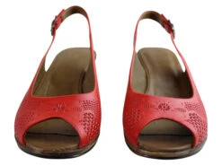 Orizonte Dominica Womens European Leather Comfortable Wedge Sandals(Orizonte Dominica Womens European Leather Comfortable Wedge Sandals) -Skechers Sale Store IMG 7970