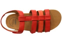 Scholl Orthaheel Alessandra Womens Comfortable Supportive Sandals(Scholl Orthaheel Alessandra Womens Comfortable Supportive Sandals) -Skechers Sale Store IMG 8007 b6771ab9 f4a2 40a6 9dc7 de0b10affdd6