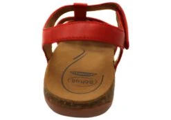 Scholl Orthaheel Alessandra Womens Comfortable Supportive Sandals(Scholl Orthaheel Alessandra Womens Comfortable Supportive Sandals) -Skechers Sale Store IMG 8008 07fb3cc4 c535 4490 946f 5fece7efda68