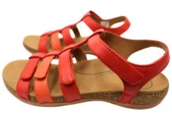 Scholl Orthaheel Alessandra Womens Comfortable Supportive Sandals(Scholl Orthaheel Alessandra Womens Comfortable Supportive Sandals) -Skechers Sale Store IMG 8009 f5cf9c9b 74dc 46cb b78a 02d16b88c779